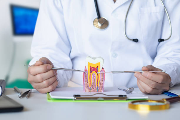 Best Emergency Dental Care for Broken or Chipped Teeth in Cornwall On Hudson, NY